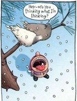 Birds beat and rain